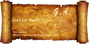 Galle Amélia névjegykártya